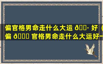 偏官格男命走什么大运 🌷 好（偏 🐝 官格男命走什么大运好一点）